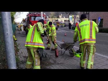 Oude roekennesten verwijderd door de brandweer - Pelt
