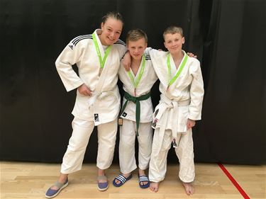 Tien medailles voor judoclub - Hechtel-Eksel & Pelt