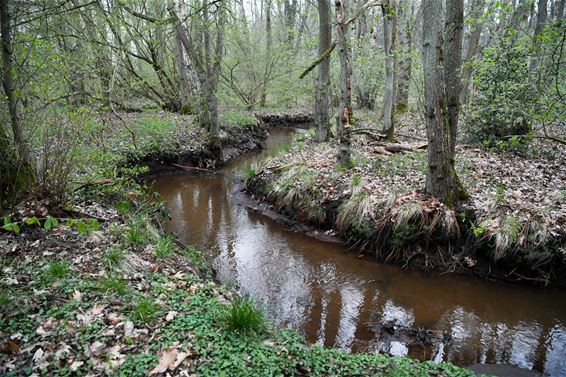 Tijdelijk onttrekkingsverbod water - Beringen & Leopoldsburg