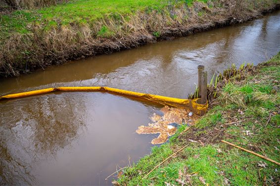 Tijdelijk vaarverbod op de Dommel door droogte - Pelt