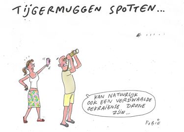 Tijgermuggen spotten...