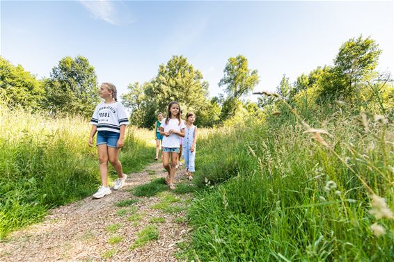 Tip voor trip: de Beemdenwandeling - Tongeren