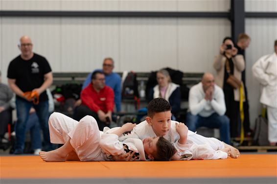 Topsportdag voor G-judoka's in Oudsbergen - Oudsbergen