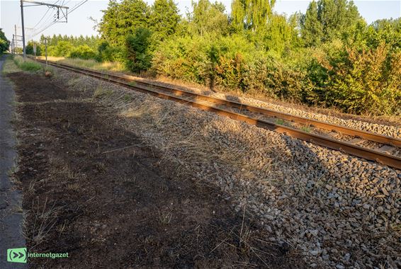 Pelt - Treinverkeer tussen Neerpelt en Hamont ligt stil