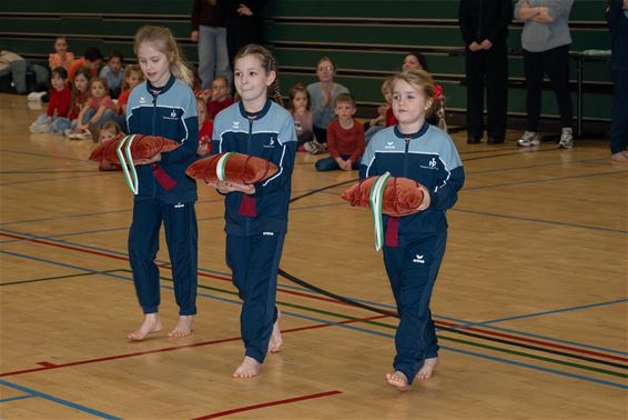 Turntalent in actie bij Turnkring Hoger Op - Pelt