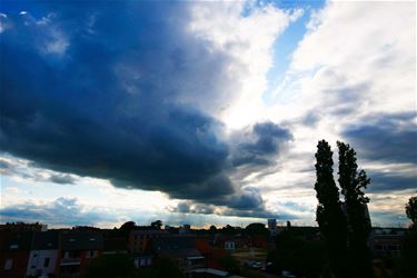 Bree - Twee zonnige dagen