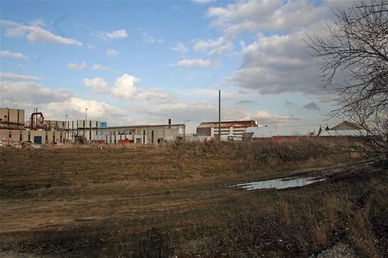 Tweede kans voor vervuild industrieterrein - Overpelt