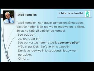 Twieë kamele