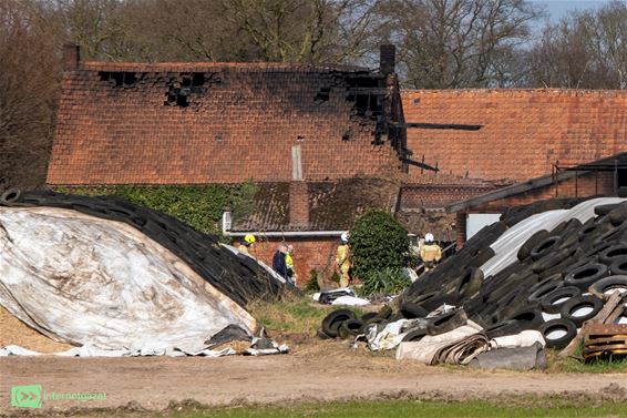 Twintigtal koeien omgekomen in brand - Peer