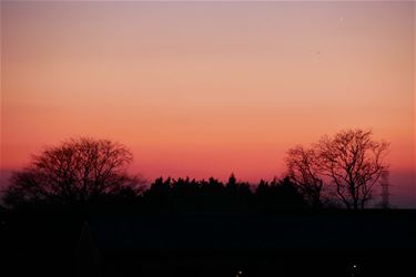 Uitzonderlijk mooi weer - Beringen & Leopoldsburg