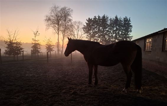 Valavond op ’t Lindel zorgt voor mooi moment - Pelt