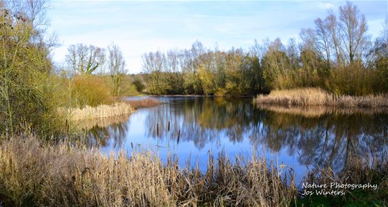 Vallei van de Zwarte Beek blijft bekoren - Hechtel-Eksel