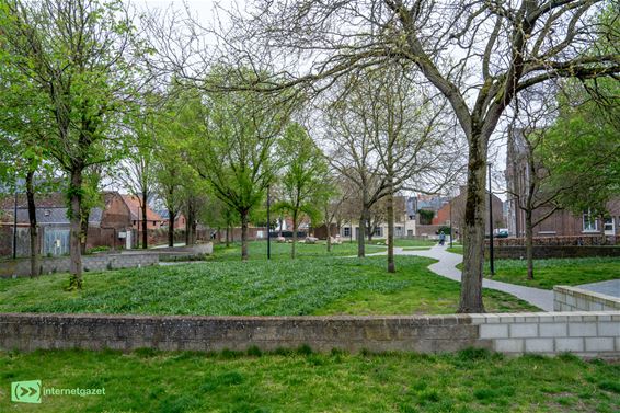 Van besloten lusttuin tot groene oase in Bree