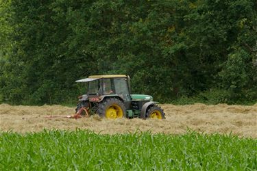 Van grasjes en terrasjes - Beringen & Leopoldsburg