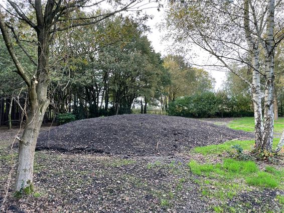 Van kerkhof tot natuurbegraafplaats - Beringen