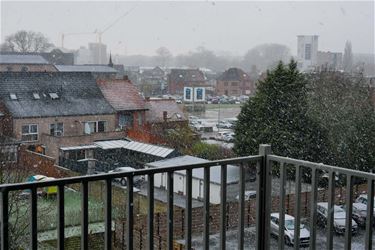 Van winter naar lente - Beringen