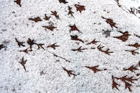 Vandaag gezien... - Overpelt