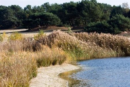 Vandaag gezien... - Lommel