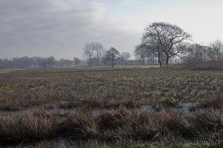 Vandaag gezien... - Neerpelt