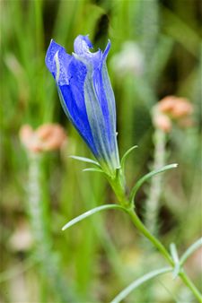 Vandaag gezien... - Hamont-Achel