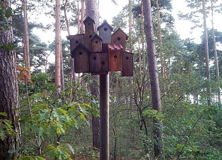 Vandaag gezien... - Hamont-Achel
