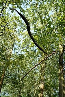 Vandaag gezien... - Hamont-Achel