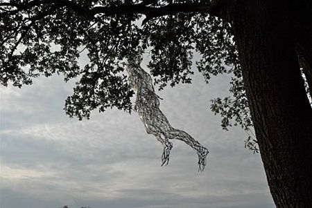 Vandaag gezien... - Hamont-Achel