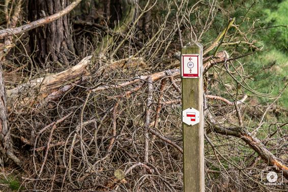 Lommel - Vandalen richten opnieuw schade aan in Bosland