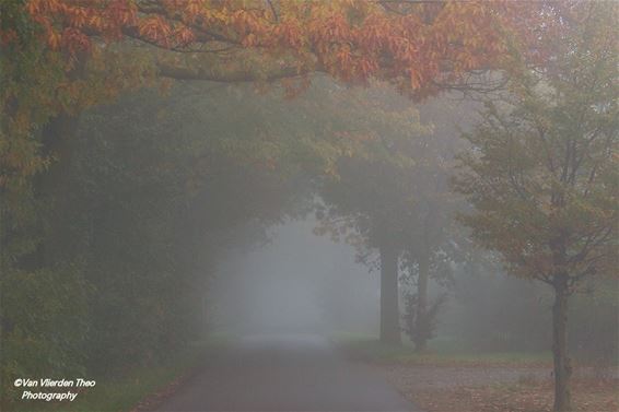 Vanmorgen, in de buurt van de Doodendraad... - Hamont-Achel