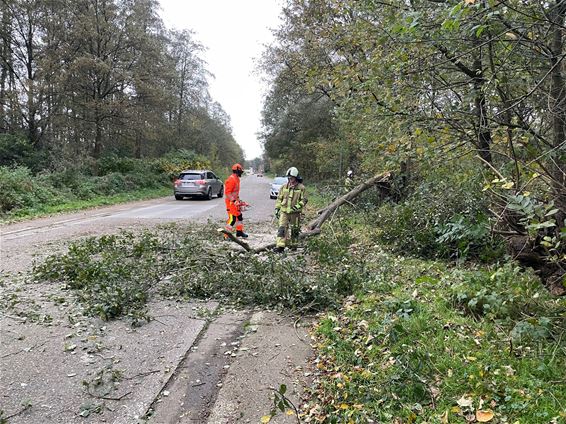 Veel oproepen voor stormschade - Beringen