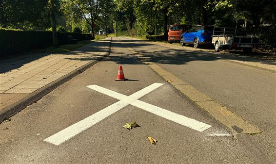 Velen mogen genieten, sommigen mogen werken - Pelt