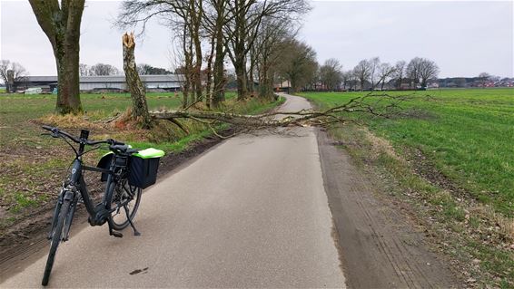 Verkeer in de Wolfstraat gestremd - Pelt