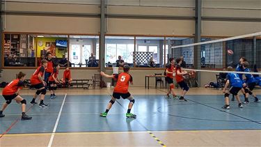 Verlies voor jongens U15 Lovoc - Lommel