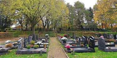 Verwelkte bloemen worden begin december opgeruimd - Peer