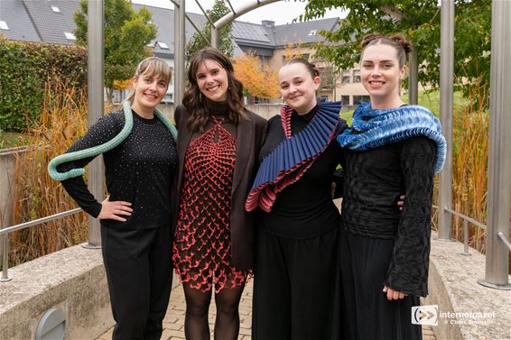 Vibroyant van Jade Houben betovert het Astridpark - Lommel