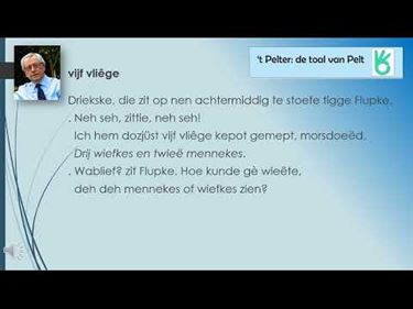 Lommel - Vijf vliêge