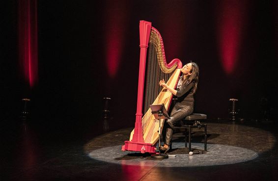 Vijftiende editie 'Seduced By Harps' - Lommel