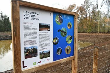 Vijvergebied Geneberg hervormd tot natuur - Leopoldsburg