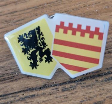 Vlaams Belang deelt pins uit aan vlaggenzwaaiers - Pelt