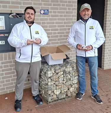 Vlaams Belang voert Valentijnsactie - Hamont-Achel