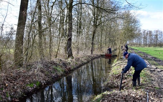 Vloeiweiden kleuren paars en wit - Lommel