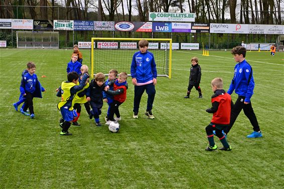 Voetbalkamp KFC Paal-Tervant - Beringen