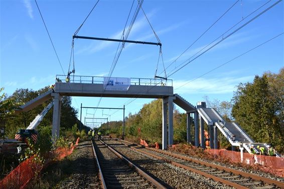 Voetgangersbrug Beringenheide geplaatst - Beringen