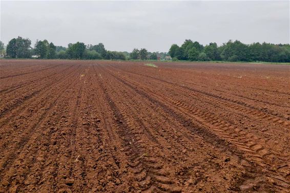 Voetweg is weer weg - Beringen