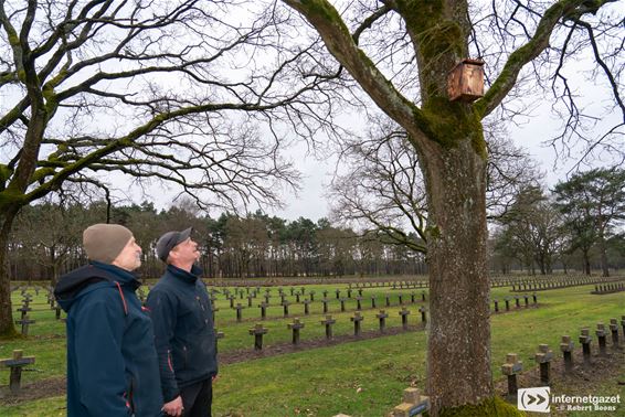 Vogelhuisjes op de Duitse militaire begraafplaats - Lommel