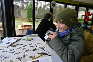 Vogeltelweekend - Beringen & Leopoldsburg