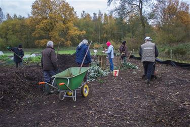 Volkstuin op eigen benen - Beringen