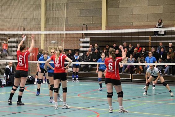 Volley: Helchteren verslaat Hechtel - Houthalen-Helchteren