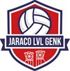 Volleybal: LVL- Oudegem 3-0 - Genk