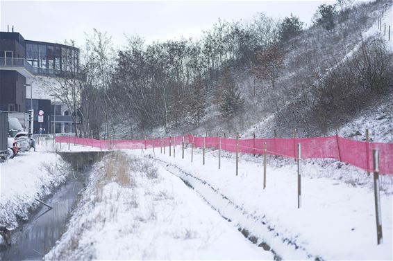 Beringen - Voorbereidingen BK Veldrijden volop aan de gang